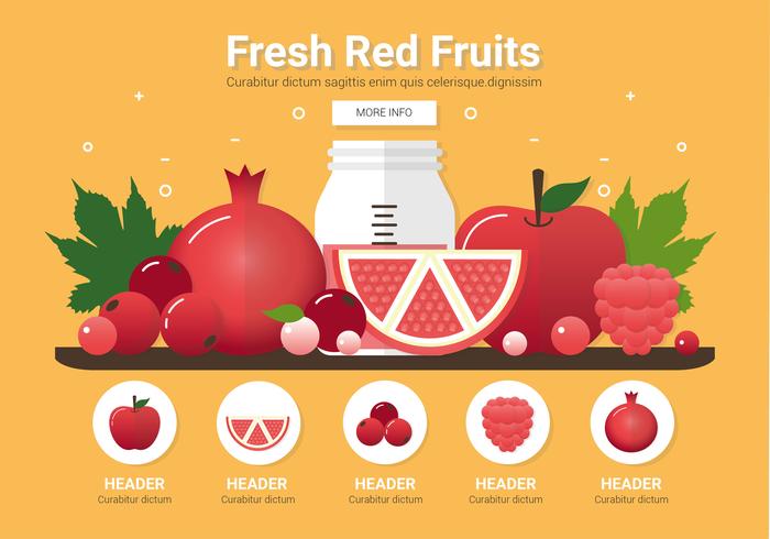 Vector frutas rojas frescas