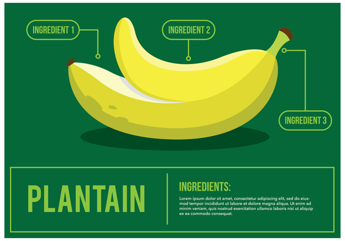 Vector de plátano