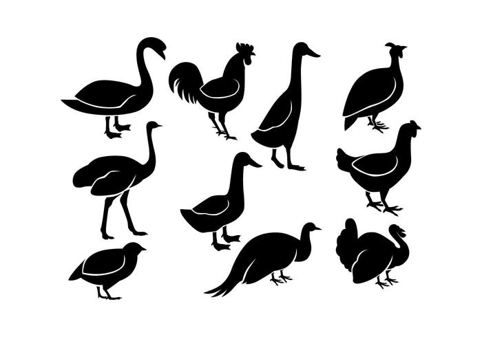 Vector de icono de línea de aves de corral