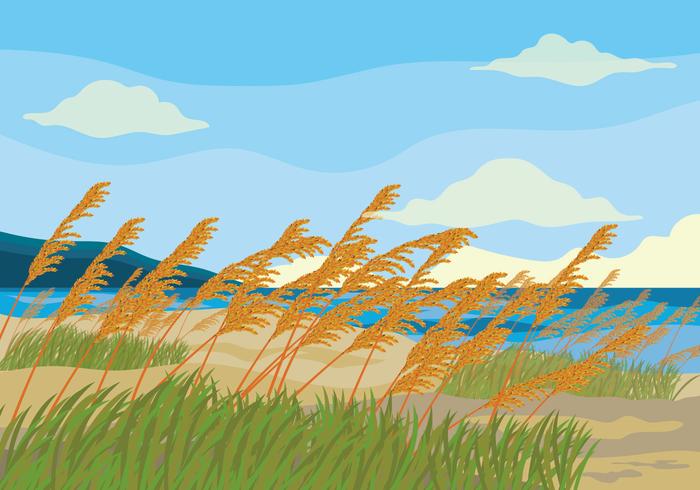 Fondo de Vector de avena de mar