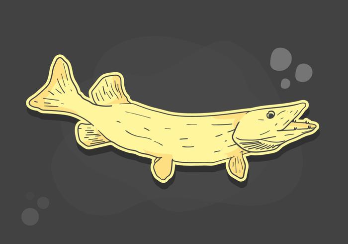 Ilustración muskie dibujado a mano vector