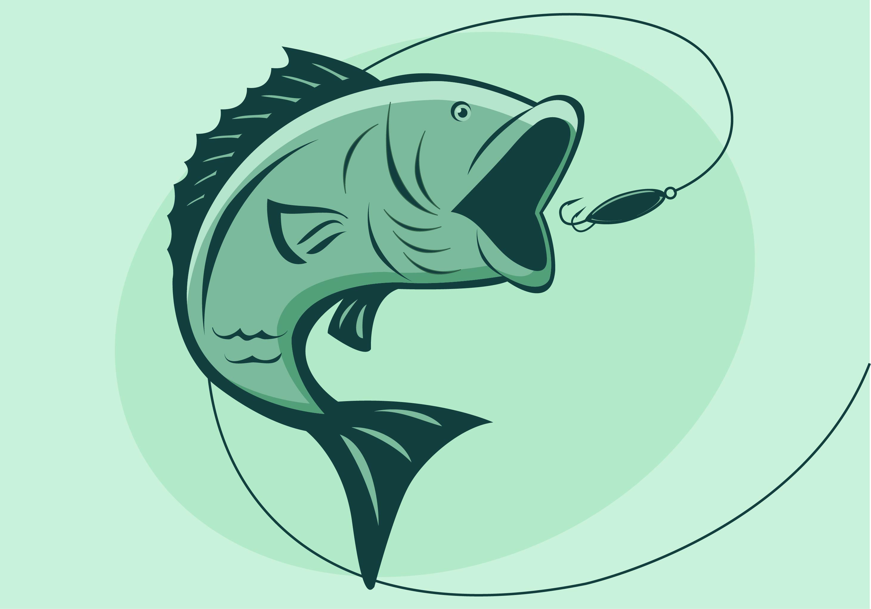 Bass Fish Vector - Download Free Vectors, Clipart Graphics ...