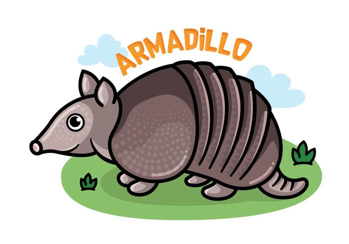 Armadillo Cartoon vector