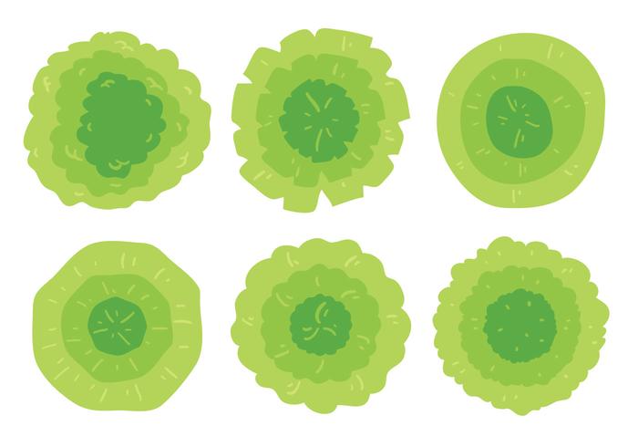 Green Plant Top View Vector