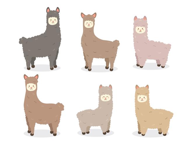 Ilama Collection en blanco Vector