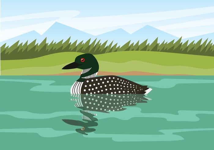 Loon Floating On Water vector