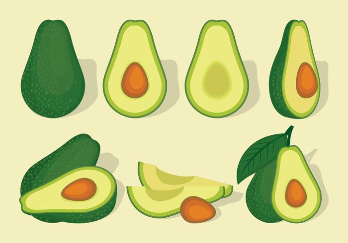 Avocado Vector Set