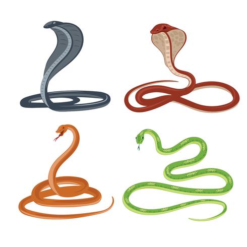 Conjunto de serpiente aislado en blanco vector