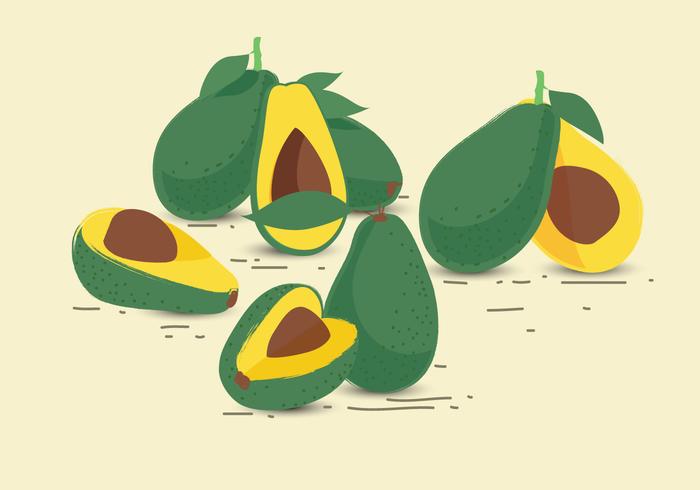 Vector de frutas de aguacate