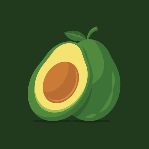 Ilustración del vector de aguacate