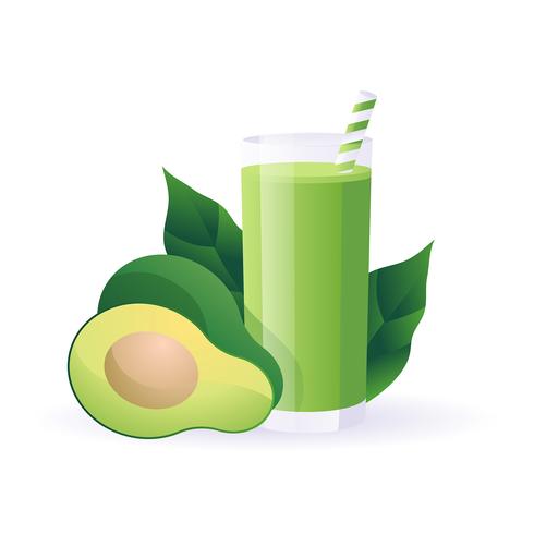 Avocado Smoothie Vector