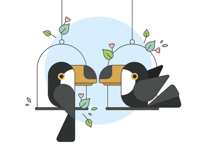 Toucan Vector