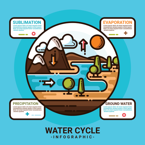 Water Cycle Infographic vector