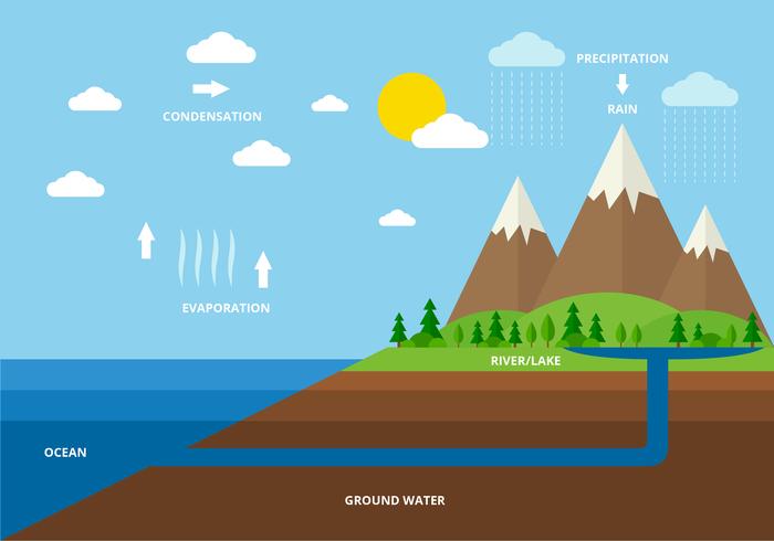 Vector de ciclo de agua