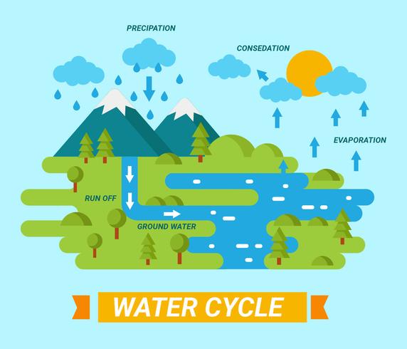Water Cycle in the Nature Vector