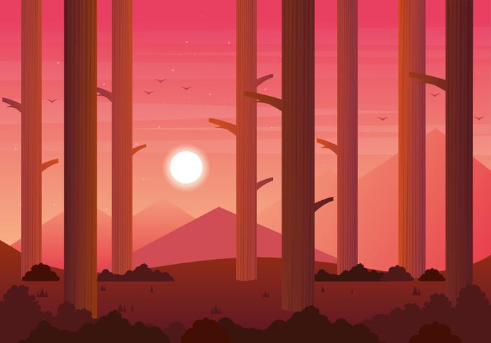 Vector Red Sunset Landscape Illustration