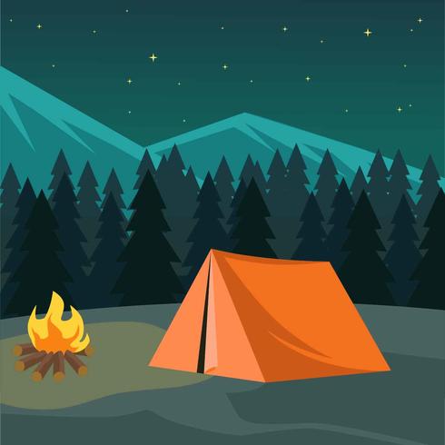 Night Camping Illustration Vector