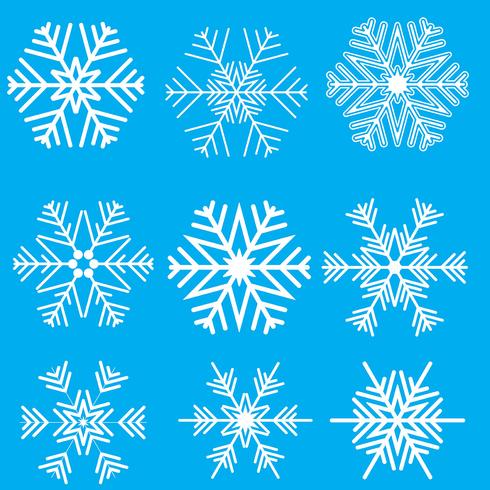 Collection of snowflake designs vector