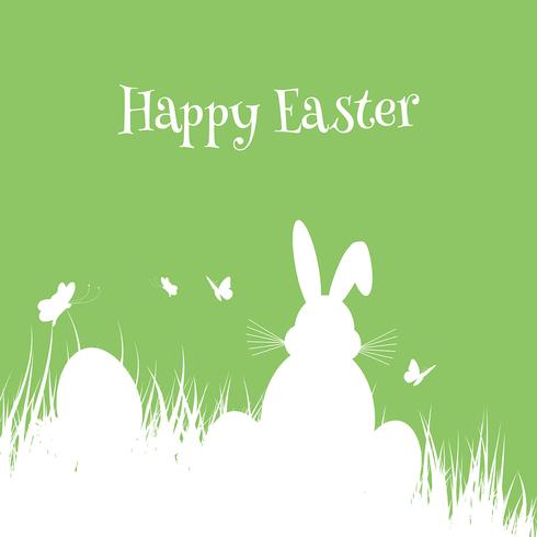 Easter bunny background  vector