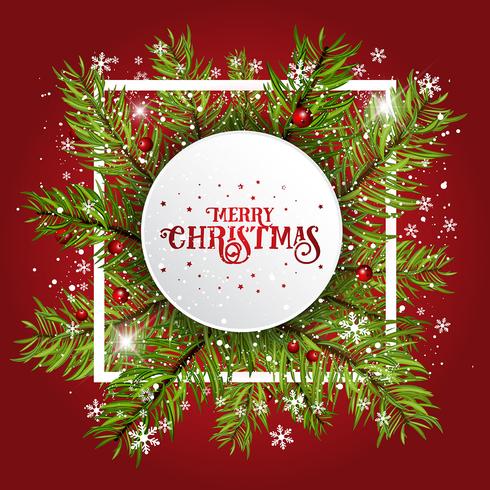 Christmas background with fir tree branches and berries vector