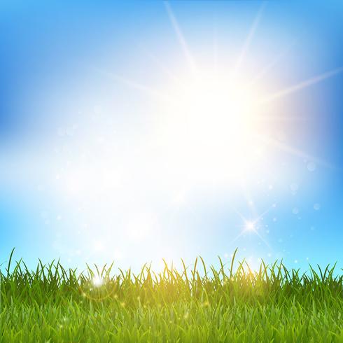 Blue sky and grass landscape  vector