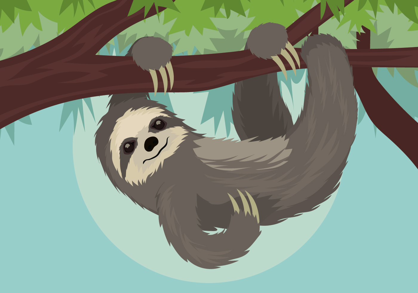 Download Sloth Vector Illustration for free.