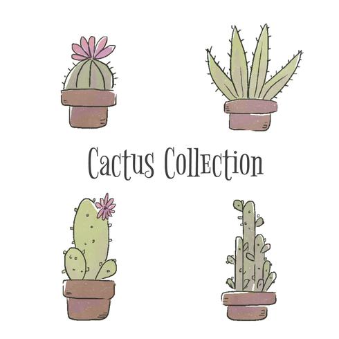 Colección Cactus Set vector