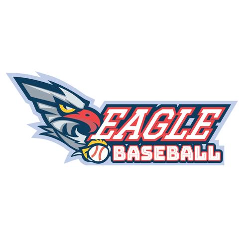 Baseball 9 vector