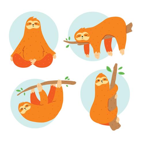 Sloth On White Vector