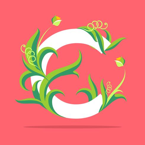 Natural Letter C Typography Vector