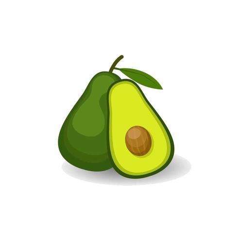 Ilustración del vector de aguacate