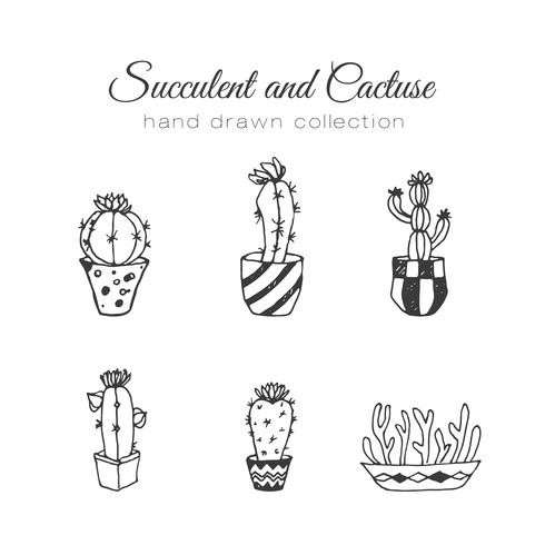 Ilustración de cactus. Vector de suculenta y cactus conjunto dibujado a mano.