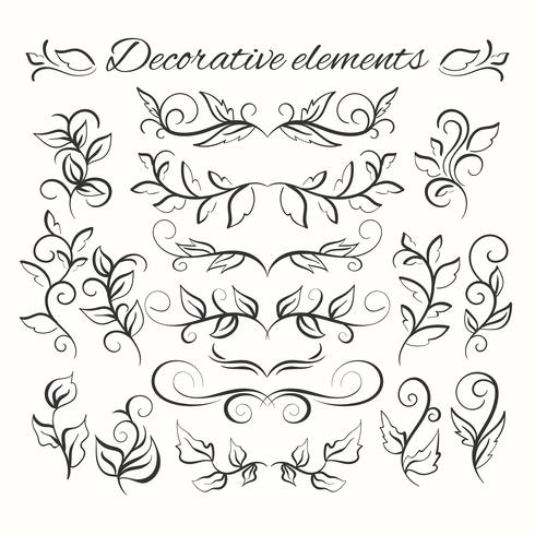 Hand drawn divders set. Ornamental decorative elements. Floral set. vector