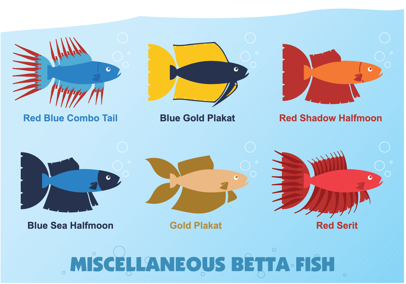 Download Miscellaneous Betta Fish vector - Download Free Vectors ...