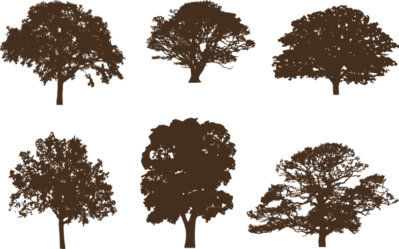 Oak tree silhouettes vector