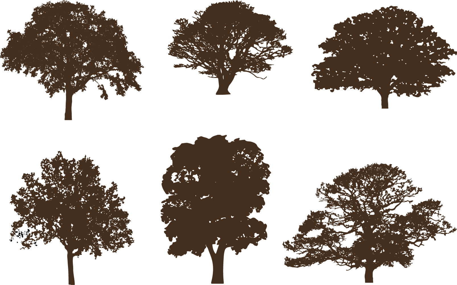 Oak Tree Silhouette Free Vector Art 125 Free Downloads