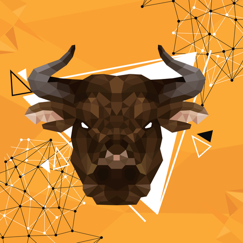 Bull Illustration vector