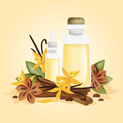 Vector Vanilla Essential Oils Illustration