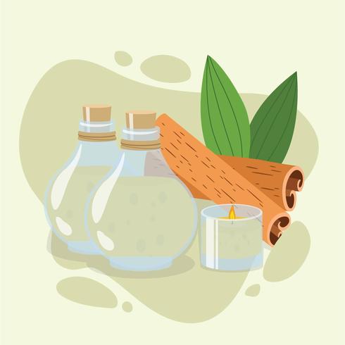 Essential Oils Sale vector