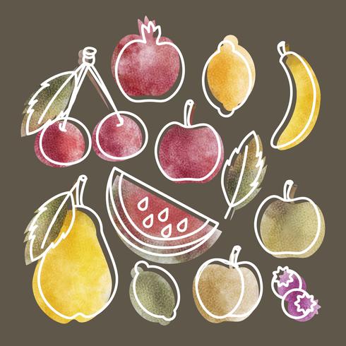 Vector Hand drawn Set of Fruits
