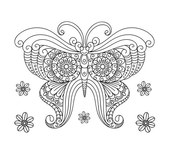 Butterfly Coloring Book For Adult vector