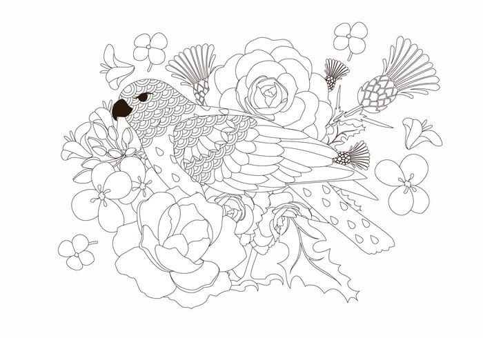 Coloring Book Bird Animal Vector