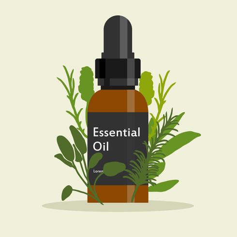 Essential Oils Sale vector