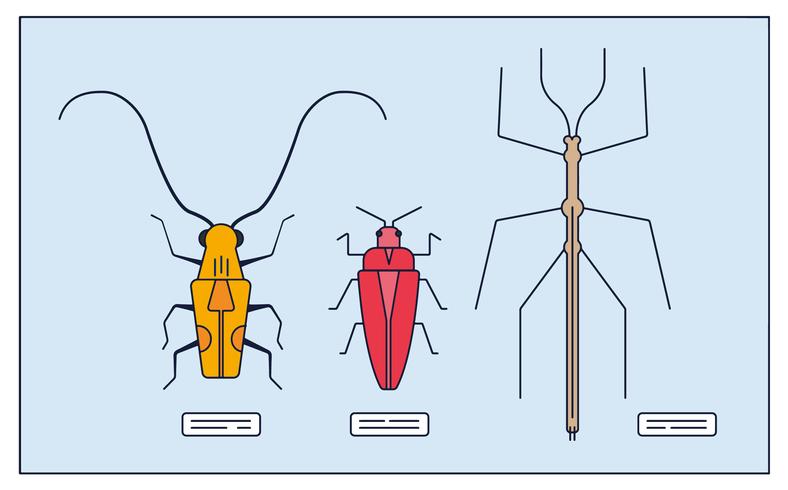 Vector de colección de insectos