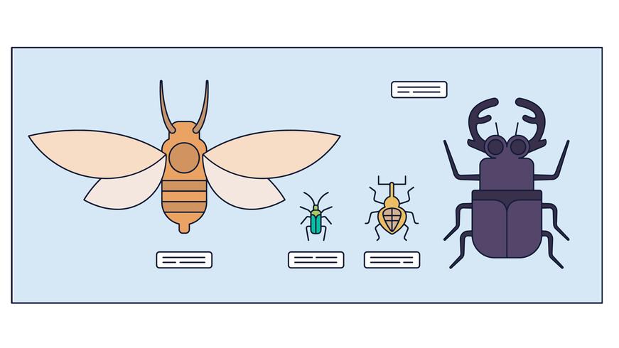 Vector de entomología