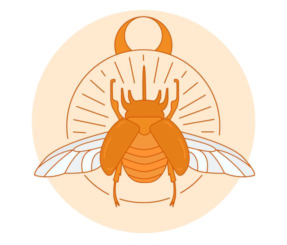 Escarabajo Vector