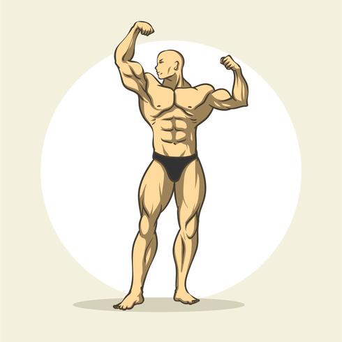 Bodybuilder vector