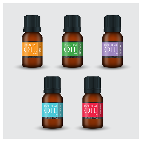 Photorealistic Style Essential Oil Bottles vector