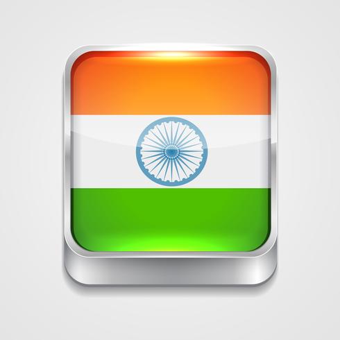 bandera de la india vector