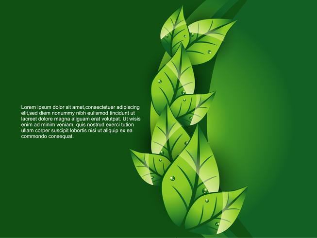 green leaf background vector